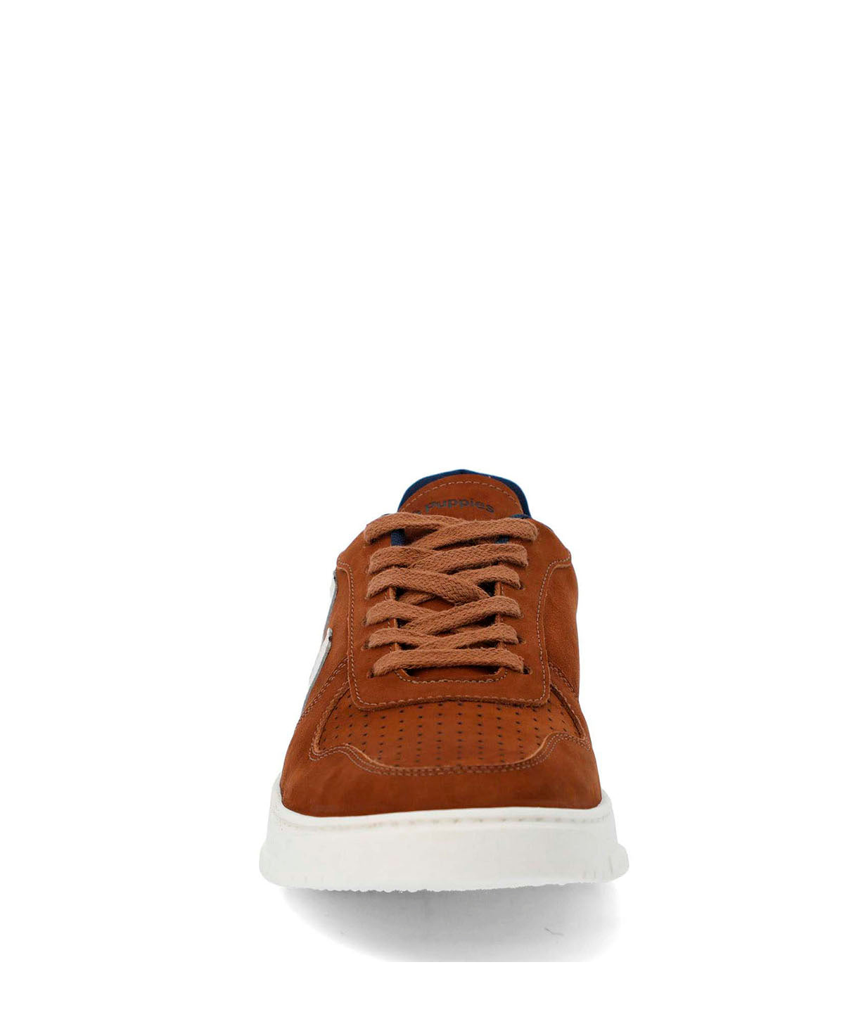 Zapatilla Philippe Café para Hombre 3