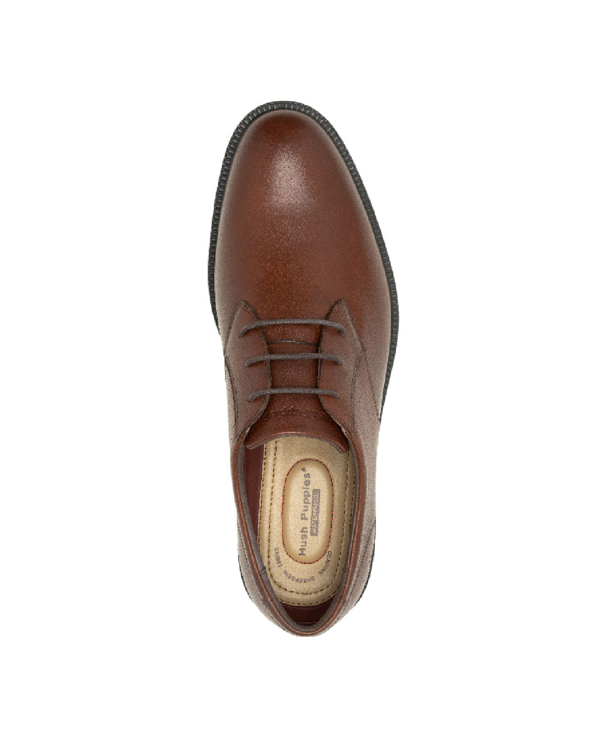 Zapato Vestir Cuero Banker DK Brown para Hombre Hush Puppies 5