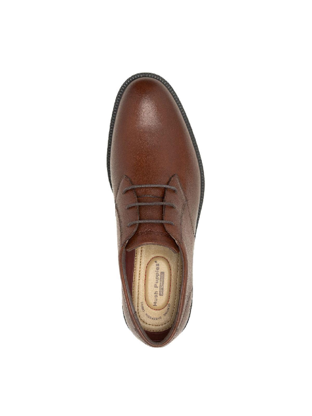 Zapato Vestir Cuero Banker DK Brown para Hombre Hush Puppies 5